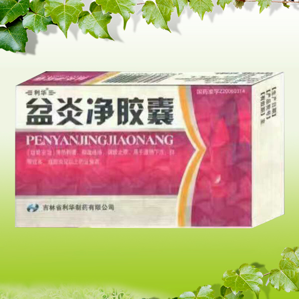 盆炎凈膠囊 盆炎凈膠囊