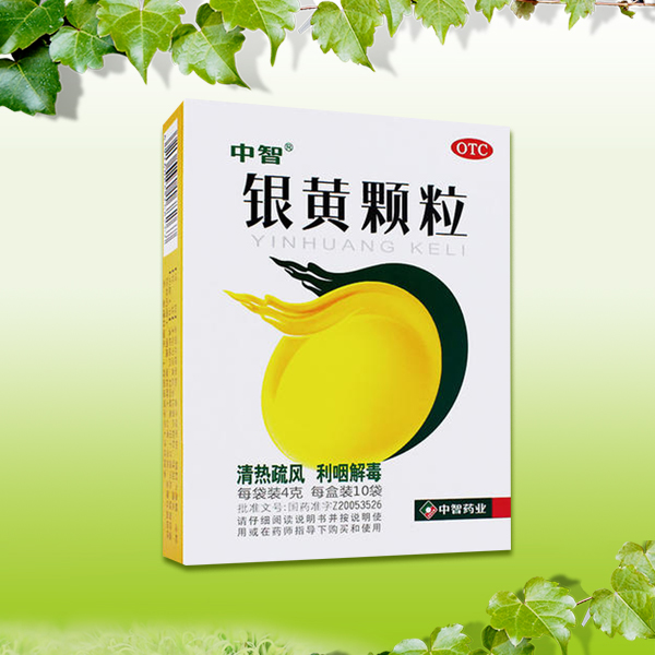 銀黃顆粒 銀黃顆粒